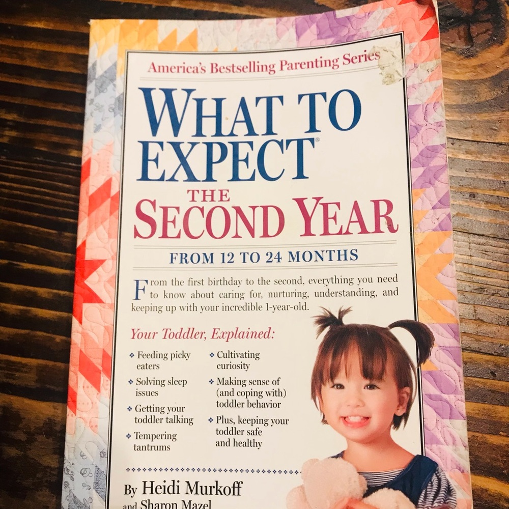 What to Expect: The Second Year Book 📖